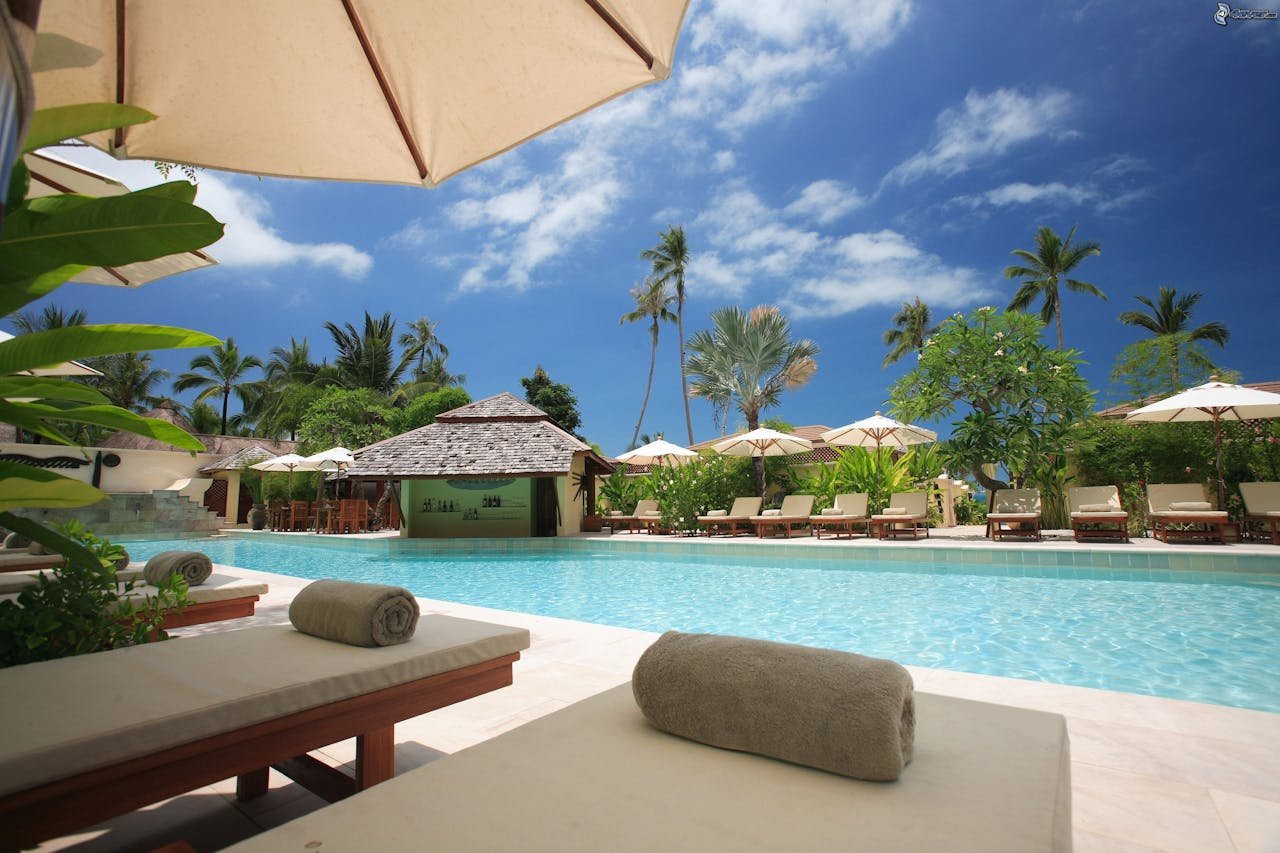 about-us Experience ultimate relaxation at a sunlit tropical poolside resort featuring palm trees and blue skies.